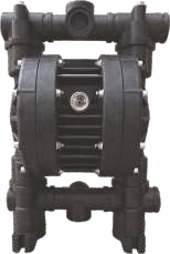 Ruby 125